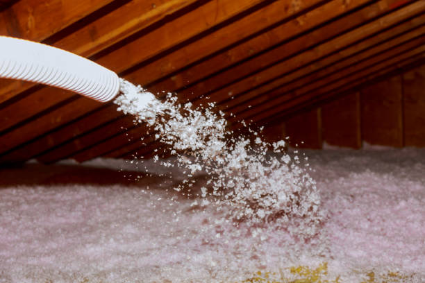 Best Insulation Maintenance and Repair in Presquille, LA