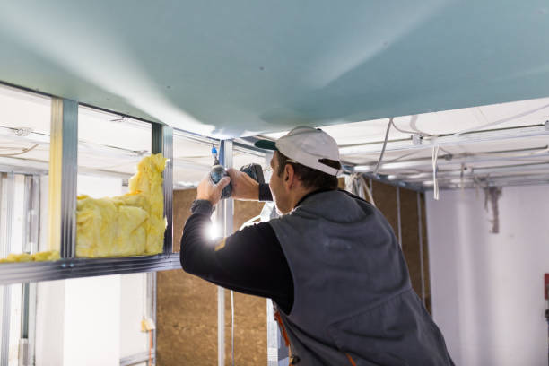 Types of Insulation We Offer in Presquille, LA