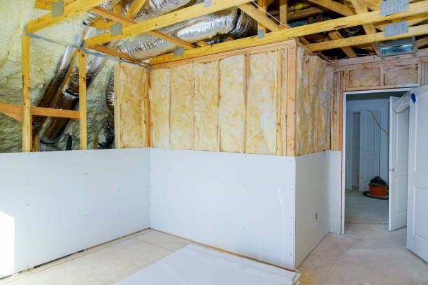 Best Specialized Insulation Services in Presquille, LA