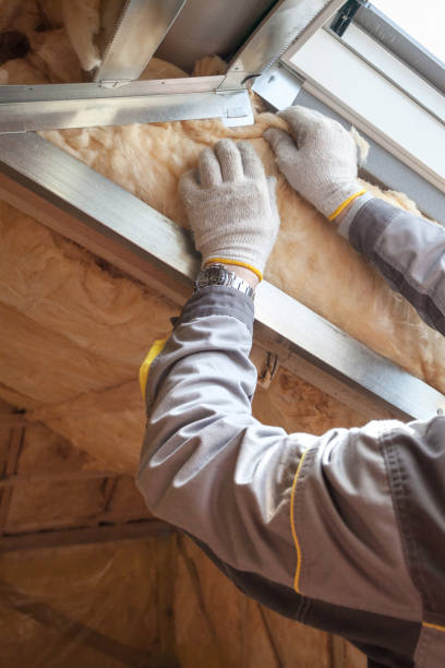 Best Spray Foam Insulation in Presquille, LA