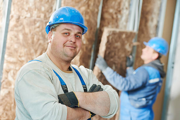 Best Specialized Insulation Services in Presquille, LA