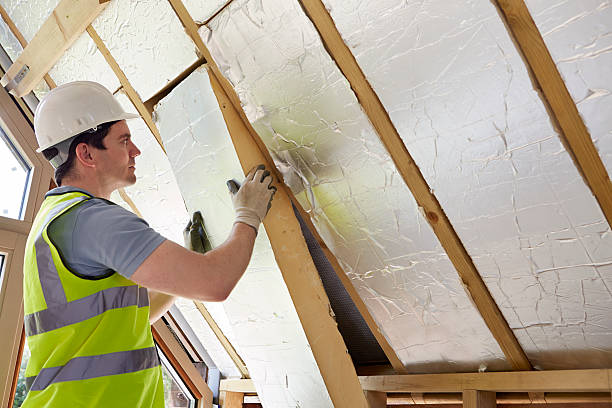 Best Commercial Insulation in Presquille, LA